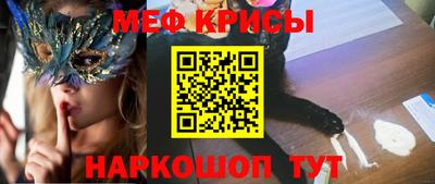 гашик Кингисепп