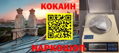 гашик Кингисепп