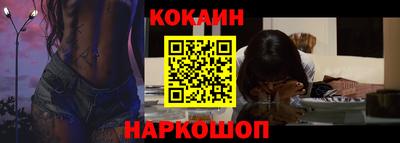 гашик Кингисепп