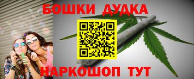 гашик Кингисепп