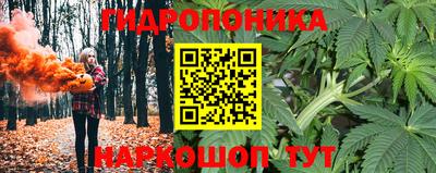 прущие грибы Кинель
