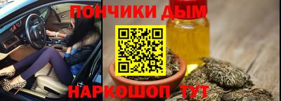 гашик Кингисепп