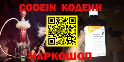 гашик Кингисепп