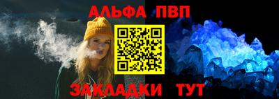 гашик Кингисепп