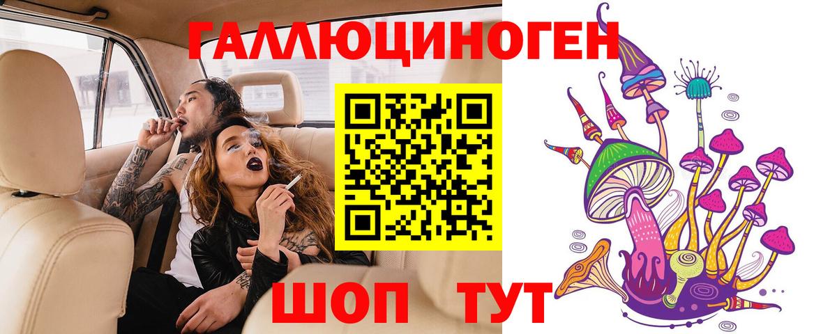 Псилоцибиновые грибы Cubensis Сланцы