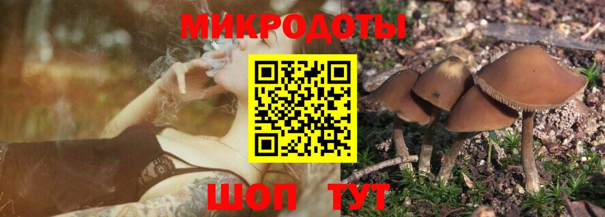 Галлюциногенные грибы GOLDEN TEACHER  где можно купить   Сланцы  Вход с VPN  Псилоцибиновые грибы GOLDEN TEACHER 